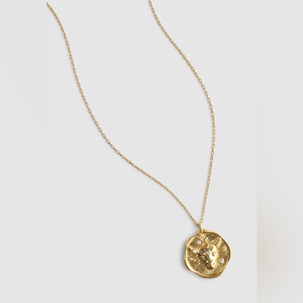NWT MADEWELL Zodiac Taurus necklace with pendant - Picture 3 of 7